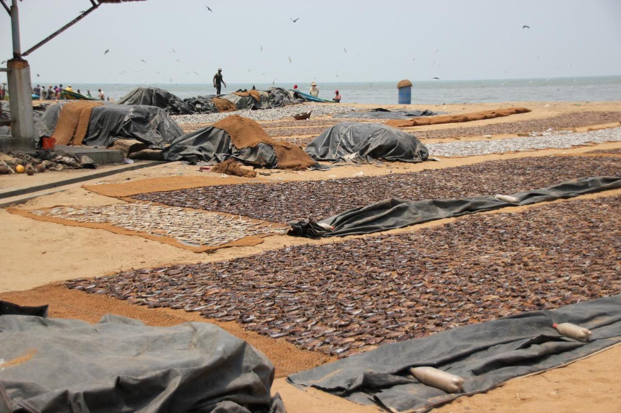 Oyo 270 Pavana Resort Negombo Kültér fotó